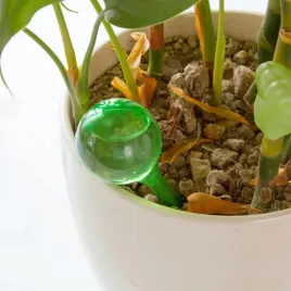 10x-automatyczna-szklana-kulka-do-powolnego-podlewania-roslin-dozownik-wody