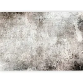fototapeta-premium-beton-tlo-sciana-loft-szara-imitacja-do-salonu-400x280