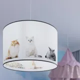 lampa-wiszaca-kitty-40-maksymalna-moc-pojedynczego-zrodla-swiatla-15-w
