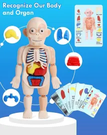 zamek-lehoo-dziecieca-drewniana-budka-lekarza