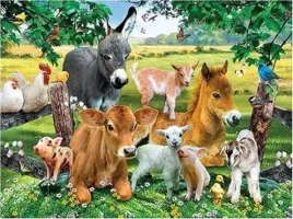 malowanie-po-numerach-zwierzeta-na-farmie-norimpex