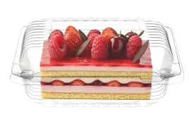 pojemniki-plastikowe-na-ciasto-opakowanie-cukiernicze-200x200x90-100-szt