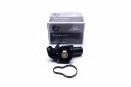 termostat-jeep-renegade-2014-2015-2016-2017-2018