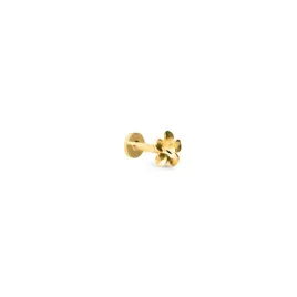 kolczyk-piercing-pozlacany-ania-kruk-zloty-kwiatek-labret-srebro-925