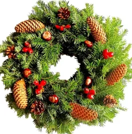 stroik-wianek-zywy-z-kasztanami-na-grob-boze-narodzenie-70cm-bn-g21