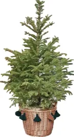 kosz-wiklinowy-na-choinke-stojak-naturalny-chwosty