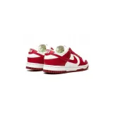dunk-low-next-nature-rozmiar-425