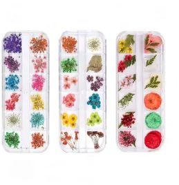 suszone-kwiaty-do-paznokci-3-pudelka-do-paznokci-do-bizuterii-z-zywicy