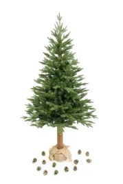 piekna-choinka-swierk-kaukaski-premium-pe-na-pniu-180-cm