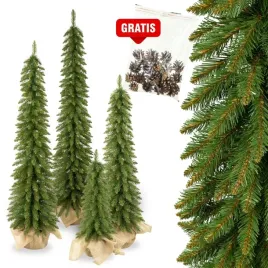 choinki-marzen-choinka-slim-swierk-tatrzanski-premium-100cm-gratis