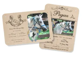 tabliczka-na-boks-dla-konia-ze-zdjeciem-imieniem-personalizowana