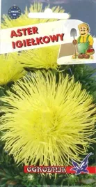 aster-igielkowy-zolty-1g-o