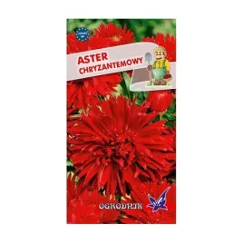 aster-chryzantemowy-czerwony-1g-o