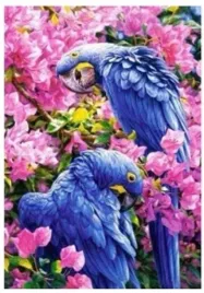 malowanie-po-numerach-papugi-fioletowe-w-kwiatach-norimpex