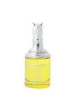 armaf-bucephalus-x-edp-100ml