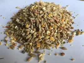 pasza-karma-naturalna-dla-niosek-bez-gmo-20-kg-polskie-zboza-susz-pokrzywa