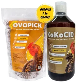 kokocid-1-kg-gratis-zakwaszacz-dla-drobiu-muszle