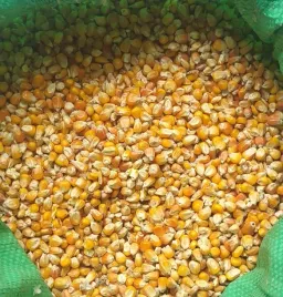 kukurydza-ziarno-pasza-karma-25kg-zaneta-dla-kur-gesi-bazantow-golebi-ryb