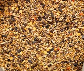 karma-kampol-o-mix-25kg-mg-0-mix-p-pozagatunkowa-dla-golebi-bp-r-super-cena