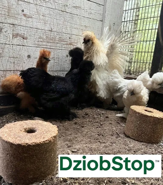 dziobstop-5kg-dziobak-witaminy-i-mineraly-dla-kur-niosek-na-kanibalizm-kur-marka-inny