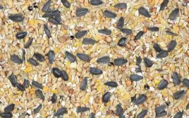 karma-nioska-sypka-kokoszka-babuni-kampol-drob