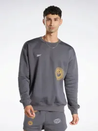 reebok-bluza-meska-cl-gv-crew-ht6117-grafitowa-klasyczna