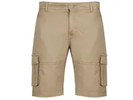 u-s-polo-assn-meskie-szorty-bojowki-sear-143-66361-53065-420-spodenki