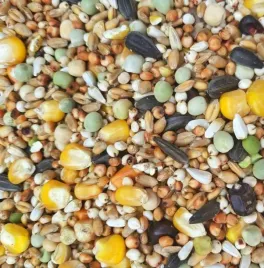 zenek-sezonowa-witpol-karma-dla-golebi-25kg-pasza-standardowa-dla-ptakow