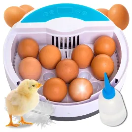 inkubator-wylegarka-automatyczna-klujnik-jaja-kurze-jajka-na-9-jaj-20w