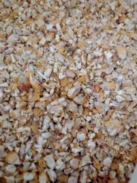 kukurydza-grubo-mielona-25kg-dla-kur-golebi-kaczek-czyste-ziarno