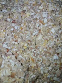 karma-pasza-naturalna-bez-chemii-ziarno-dla-kur-niosek-kaczek-gesi-20kg