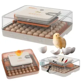 inkubator-automatyczny-56h-56-jaj-z-owoskopem-12v-klujnik-wylegarka-drobiu