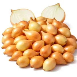 cebula-dymka-zolta-wolska-do-sadzenia-1-kg