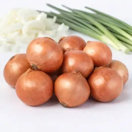 cebula-dymka-szalotka-red-sun-do-sadzenia-05-kg