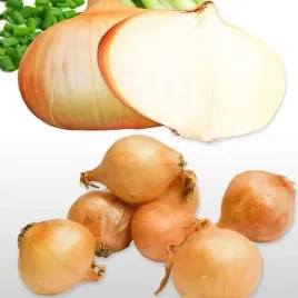 cebula-dymka-stuttgarter-riesen-025-kg-smaczna