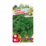 koper-herkules-5g-o-rodzaj-rosliny-koper