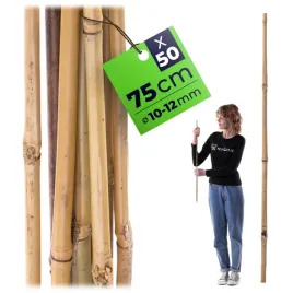 50-szt-tyczki-bambusowe-75-cm-podpora-do-pomidorow-roslin-palik-10-12-mm