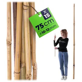 15-szt-tyczki-bambusowe-75-cm-podpora-do-pomidorow-roslin-palik-10-12-mm