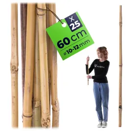 25-szt-tyczki-bambusowe-60-cm-podpora-do-pomidorow-roslin-kwiatow-palik