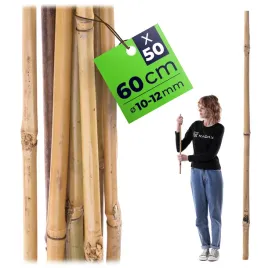 50-szt-tyczki-bambusowe-60-cm-podpora-do-pomidorow-roslin-kwiatow-palik