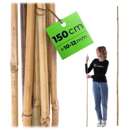 1-szt-tyczka-bambusowa-150-cm-podpora-do-pomidorow-roslin-palik-10-12-mm