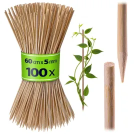 100-szt-szpilki-bambusowe-60cm-do-storczykow-roslin-podpory-patyczki-palik