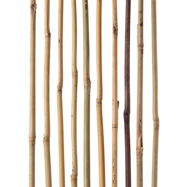 5-szt-tyczki-bambusowe-180-cm-podpora-do-pomidorow-roslin-palik-18-20-mm-wysokosc-produktu-180-cm
