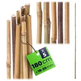 5-szt-tyczki-bambusowe-180-cm-podpora-do-pomidorow-roslin-palik-18-20-mm-kod-producenta-k16870