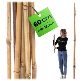 1-szt-tyczka-bambusowa-60-cm-podpora-do-pomidorow-roslin-kwiatow-palik