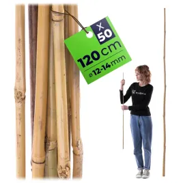 50-szt-tyczki-bambusowe-120-cm-podpora-do-pomidorow-roslin-palik-12-14-mm