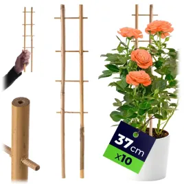 10x-drabinka-bambusowa-37cm-podpora-do-kwiatow-roslin-pnaczy-mocna-podwojna