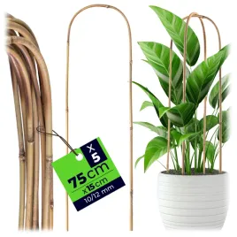 5-szt-podpora-do-roslin-bambusowa-75-cm-luk-kwiatow-pnaczy-podporka-palak