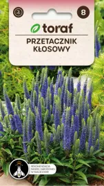 przetacznik-klosowy-nasiona-kwiatow-626-toraf