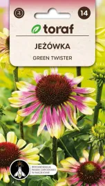 jezowka-green-twister-nasiona-kwiatow-530-toraf
